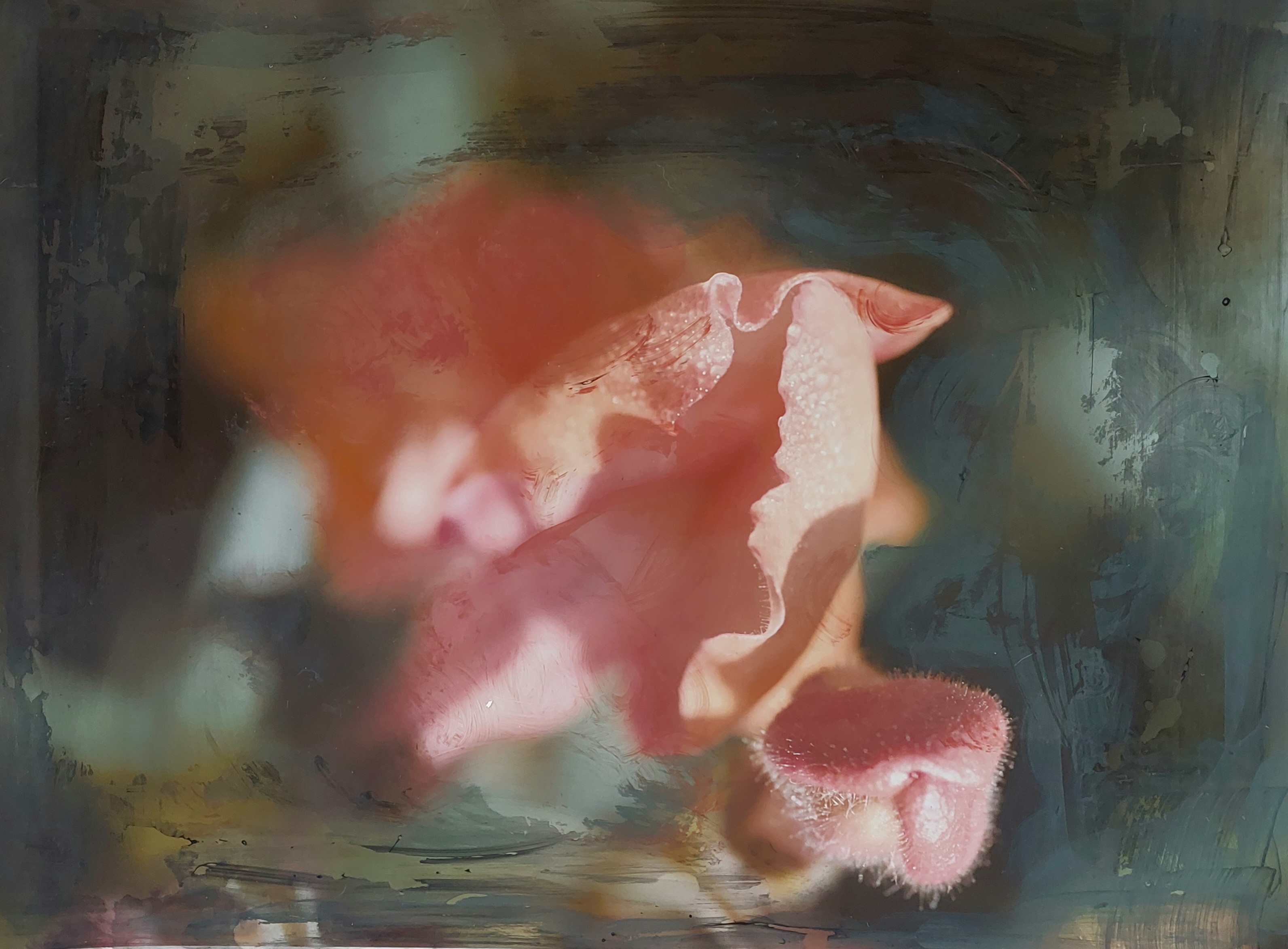 Artwork 2